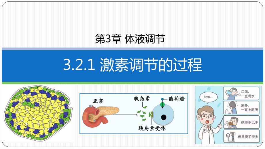 3.2激素调节的过程(同名第2课时）ppt课件 -2023新人教版(2019）《高中生物》选择性必修第一册.pptx_第1页