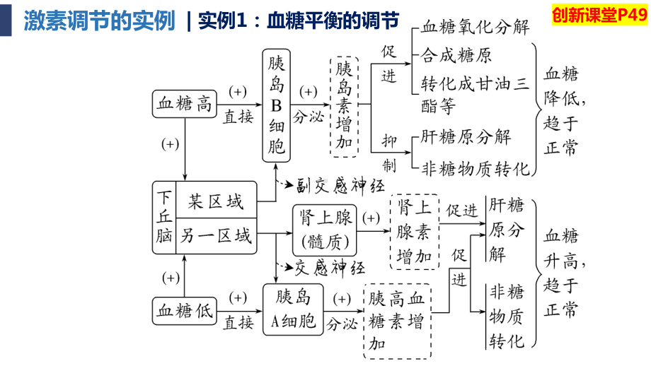 3.2激素调节的过程(同名第2课时）ppt课件 -2023新人教版(2019）《高中生物》选择性必修第一册.pptx_第3页