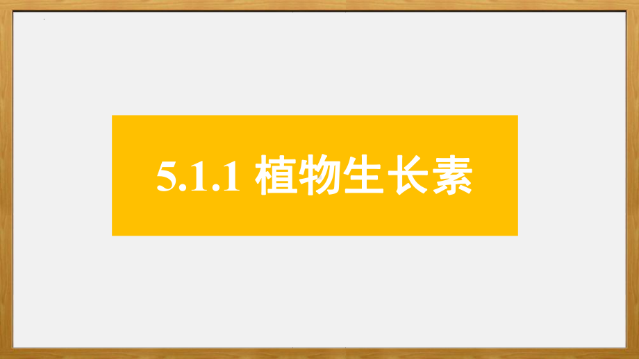 5.1 植物生长素 (同名第1课时） ppt课件-2023新人教版(2019）《高中生物》选择性必修第一册.pptx_第1页