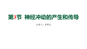 2.3神经冲动的产生和传导 ppt课件 -2023新人教版(2019）《高中生物》选择性必修第一册.pptx