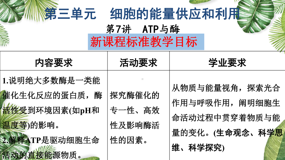 一轮复习生物：第7讲 ATP与酶ppt课件-2023新人教版(2019）《高中生物》必修第一册.pptx_第1页