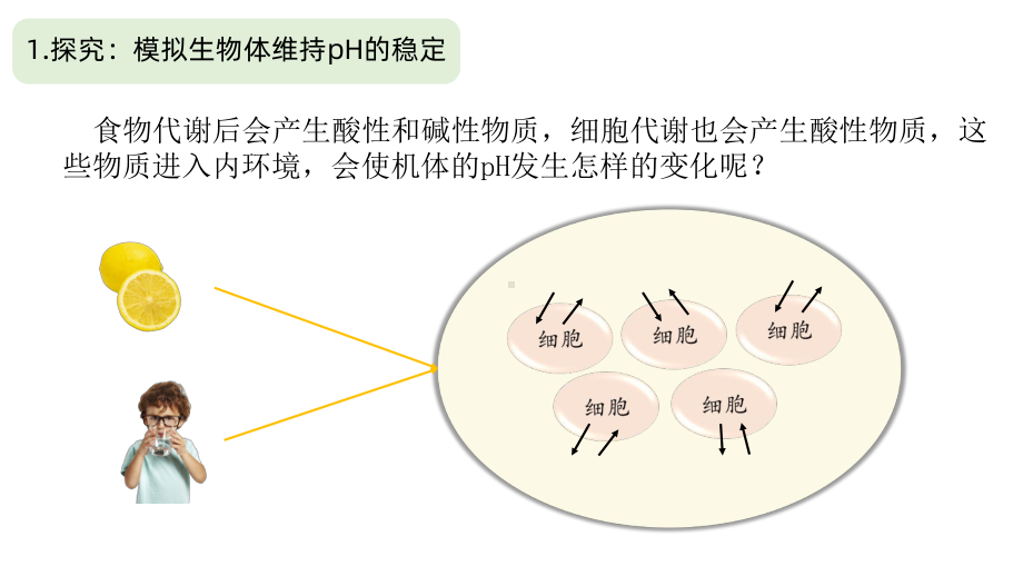 1.2内环境的稳态ppt课件(同名8)-2023新人教版(2019）《高中生物》选择性必修第一册.pptx_第3页