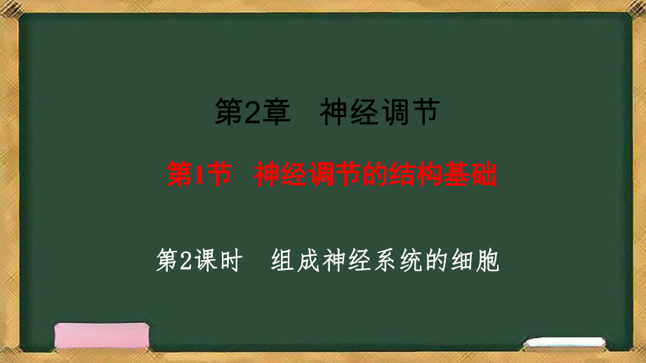 2.1神经调节的结构基础第2课时 组成神经系统的细胞ppt课件-2023新人教版(2019）《高中生物》选择性必修第一册.pptx_第1页