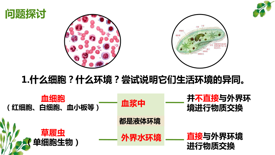 1.1细胞生活的环境ppt课件-2023新人教版(2019）《高中生物》选择性必修第一册.pptx_第3页