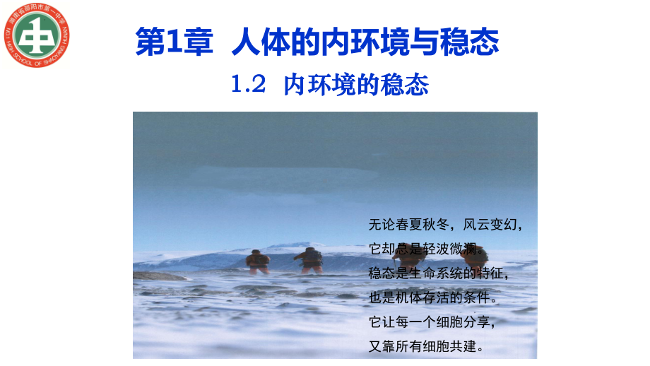 1.2 内环境的稳态ppt课件2-2023新人教版(2019）《高中生物》选择性必修第一册.pptx_第1页