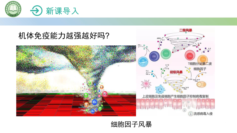 4.3免疫失调第1课时 过敏反应和自身免疫病ppt课件-2023新人教版(2019）《高中生物》选择性必修第一册.pptx_第2页