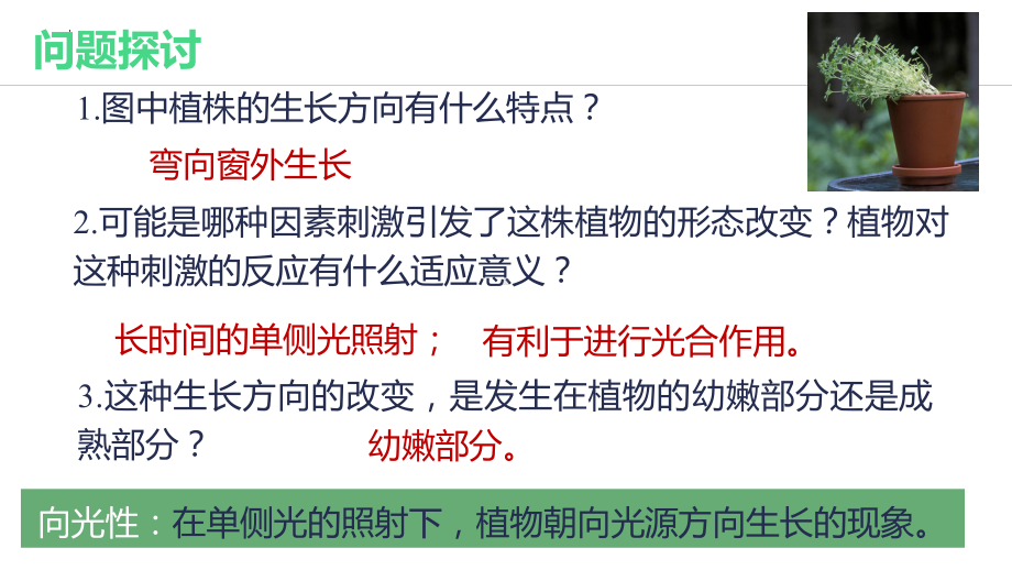 5.1植物生长素(同名1)ppt课件-2023新人教版(2019）《高中生物》选择性必修第一册.pptx_第3页