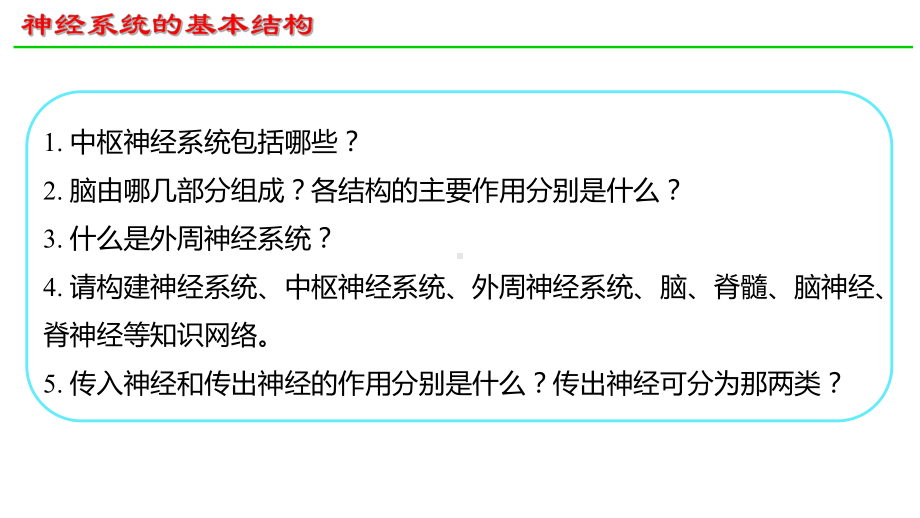 2.1神经调节的结构基础 ppt课件-2023新人教版(2019）《高中生物》选择性必修第一册.pptx_第3页