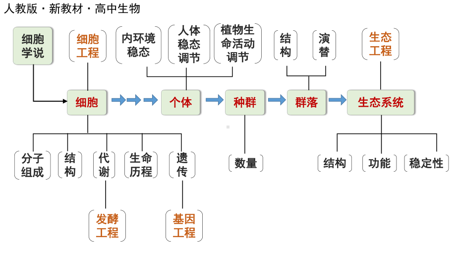 一轮复习ppt课件：第1讲走近细胞(同名3)-2023新人教版(2019）《高中生物》必修第一册.pptx_第1页