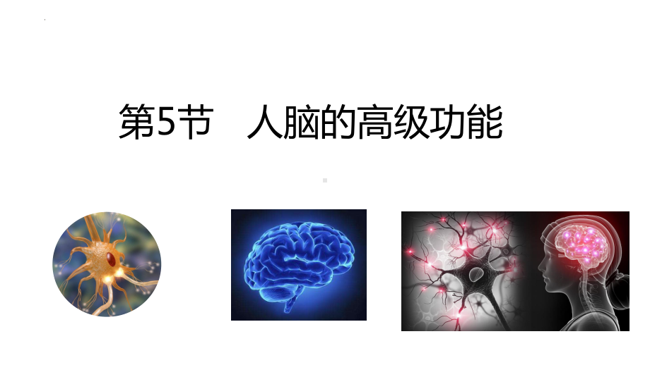 2.5 人脑的高级功能ppt课件2-2023新人教版(2019）《高中生物》选择性必修第一册.pptx_第1页