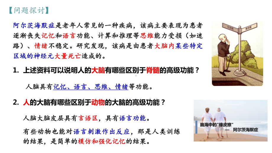 2.5 人脑的高级功能ppt课件2-2023新人教版(2019）《高中生物》选择性必修第一册.pptx_第2页