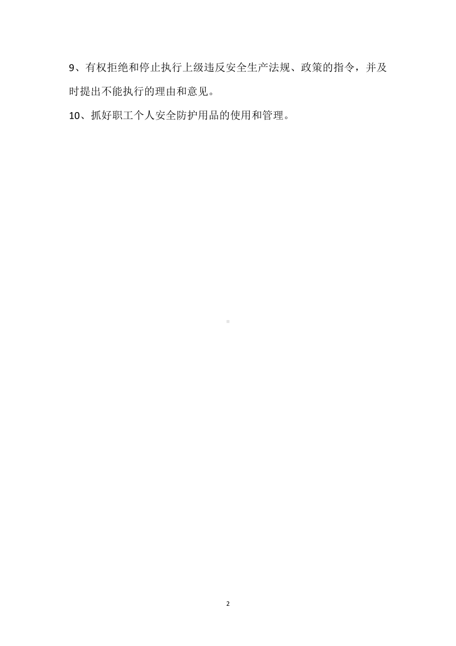 厂长安全生产岗位责任制模板范本.docx_第2页