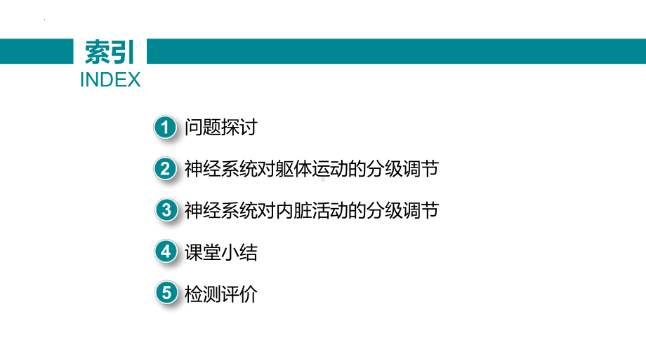 2.4 神经系统的分级调节ppt课件 -2023新人教版(2019）《高中生物》选择性必修第一册.pptx_第2页