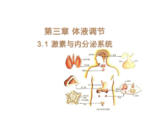 3.1激素与内分泌系统 ppt课件 -2023新人教版(2019）《高中生物》选择性必修第一册.pptx