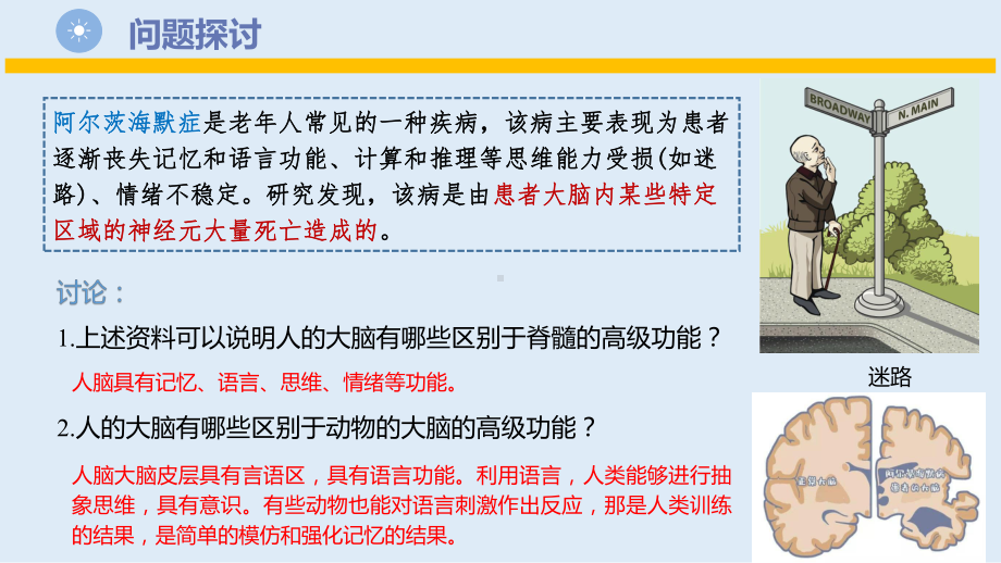 2.5人脑的高级功能ppt课件 (同名2)-2023新人教版(2019）《高中生物》选择性必修第一册.pptx_第3页