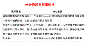 一轮复习ppt课件： 第13讲 光合作用与能量转换-1-2023新人教版(2019）《高中生物》必修第一册.pptx