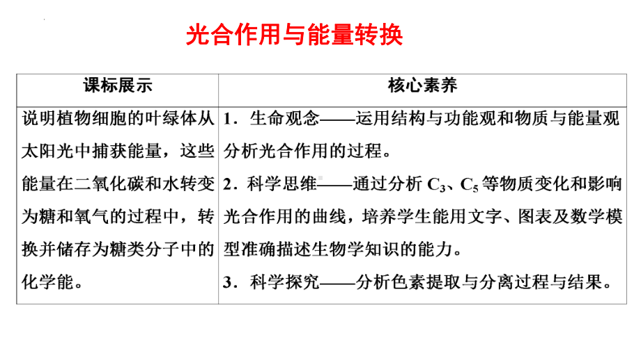 一轮复习ppt课件： 第13讲 光合作用与能量转换-1-2023新人教版(2019）《高中生物》必修第一册.pptx_第1页