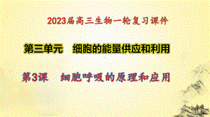 一轮复习ppt课件 3.3 细胞呼吸的原理和应用-2023新人教版(2019）《高中生物》必修第一册.pptx