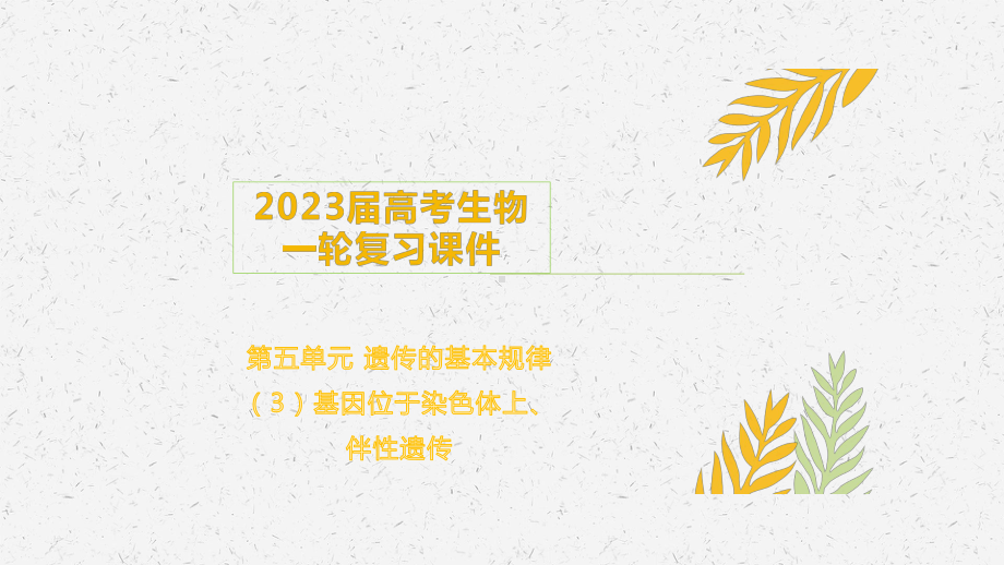 一轮复习 ppt课件第五单元 遗传的基本规律 基因位于染色体上、伴性遗传-2023新人教版(2019）《高中生物》必修第一册.pptx_第1页