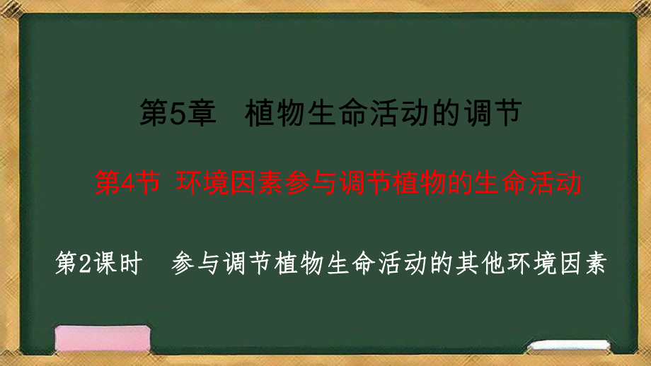 5.4环境因素参与调节植物的生命活动 第2课时 参与调节植物生命活动的其他环境因素ppt课件-2023新人教版(2019）《高中生物》选择性必修第一册.pptx_第1页