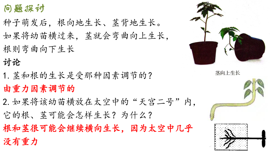 5.4环境因素参与调节植物的生命活动ppt课件(同名1)-2023新人教版(2019）《高中生物》选择性必修第一册.pptx_第2页