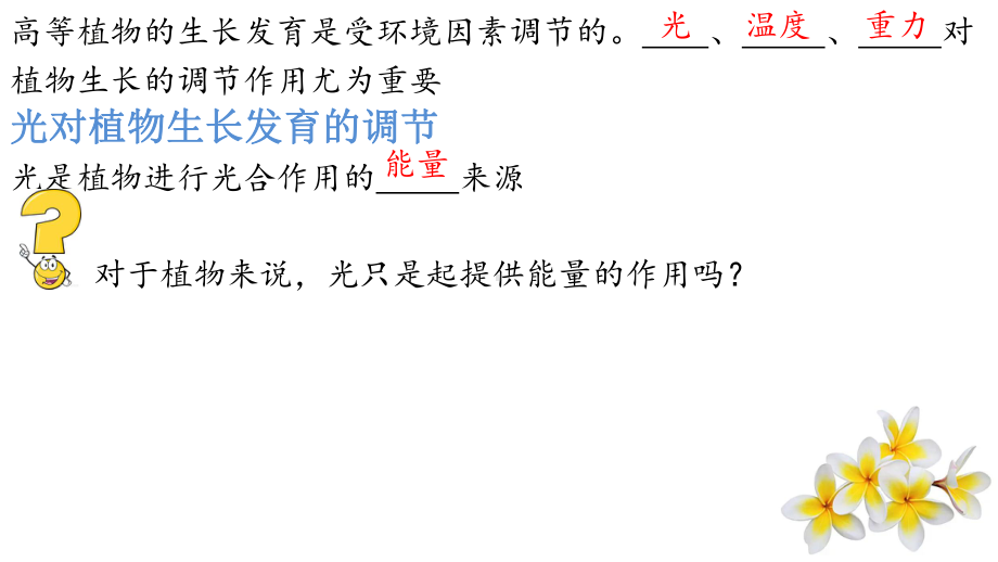 5.4环境因素参与调节植物的生命活动ppt课件(同名1)-2023新人教版(2019）《高中生物》选择性必修第一册.pptx_第3页