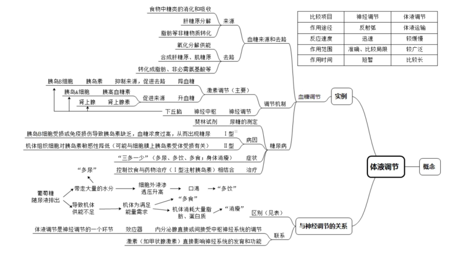 一轮复习ppt课件：体液调节-2023新人教版(2019）《高中生物》选择性必修第一册.pptx_第3页