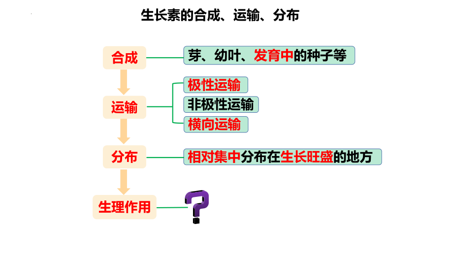 5.1植物生长素(同名第3课时）ppt课件 -2023新人教版(2019）《高中生物》选择性必修第一册.pptx_第3页