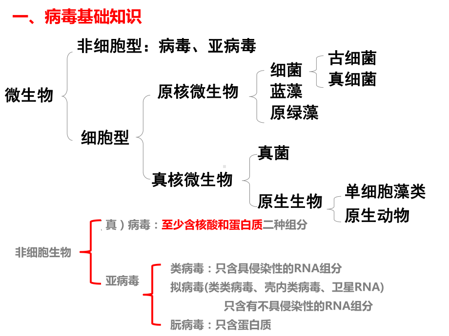 一轮复习：新冠肺炎专题知识ppt课件-2023新人教版(2019）《高中生物》选择性必修第一册.pptx_第3页