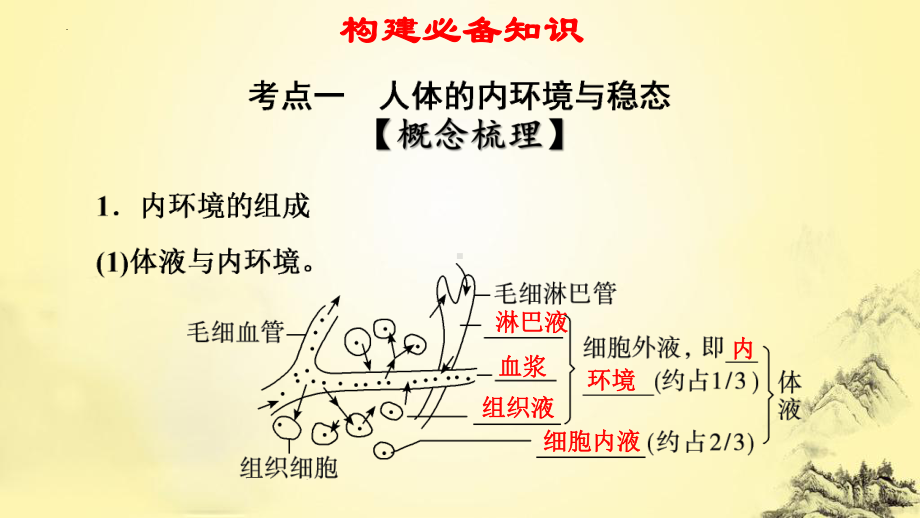 一轮复习：人体的内环境与稳态ppt课件(同名1)-2023新人教版(2019）《高中生物》选择性必修第一册.pptx_第3页