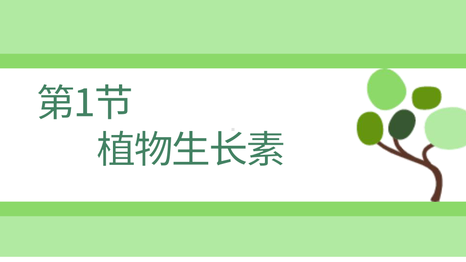 5.1植物生长素ppt课件(同名13)-2023新人教版(2019）《高中生物》选择性必修第一册.pptx_第1页