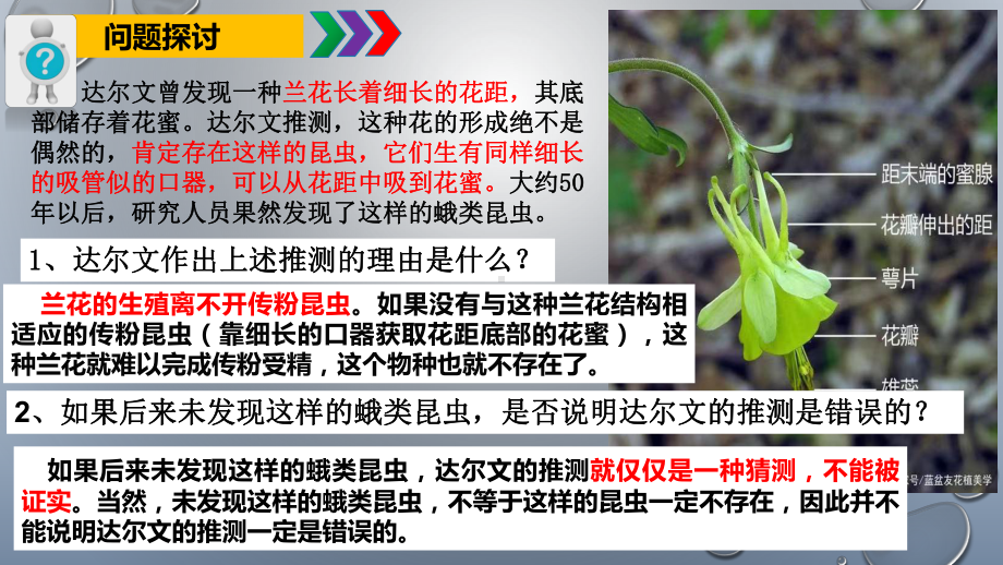 6.4协同进化与生物多样性的形成++ppt课件-2023新人教版(2019）《高中生物》必修第二册.pptx_第2页