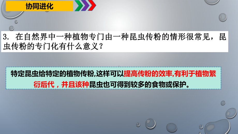 6.4协同进化与生物多样性的形成++ppt课件-2023新人教版(2019）《高中生物》必修第二册.pptx_第3页