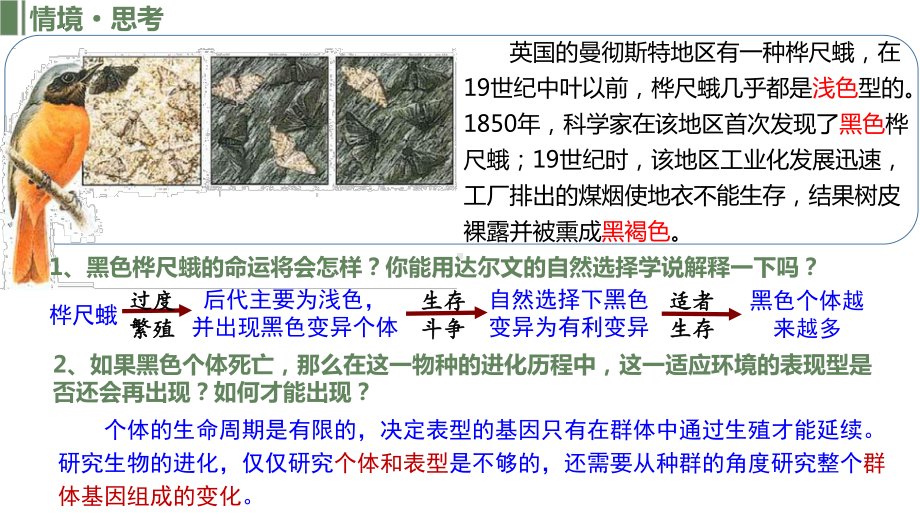 6.3种群基因组成的变化ppt课件-2023新人教版(2019）《高中生物》必修第二册.pptx_第1页