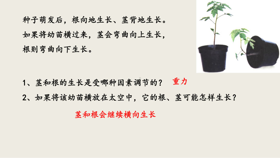 5.4 环境因素参与调节植物的生命活动ppt课件(同名5)-2023新人教版(2019）《高中生物》选择性必修第一册.pptx_第2页