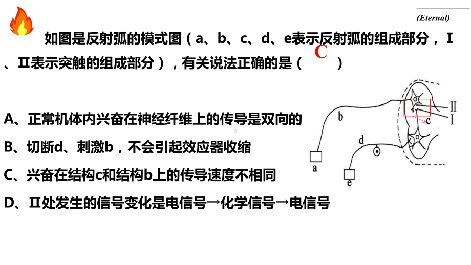 一轮复习ppt课件：神经系统(同名第3课时）-2023新人教版(2019）《高中生物》选择性必修第一册.pptx_第2页