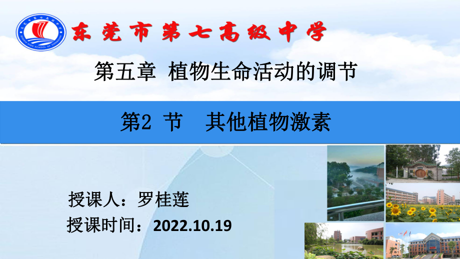 5.2其他植物激素ppt课件2(同名4)-2023新人教版(2019）《高中生物》选择性必修第一册.pptx_第1页