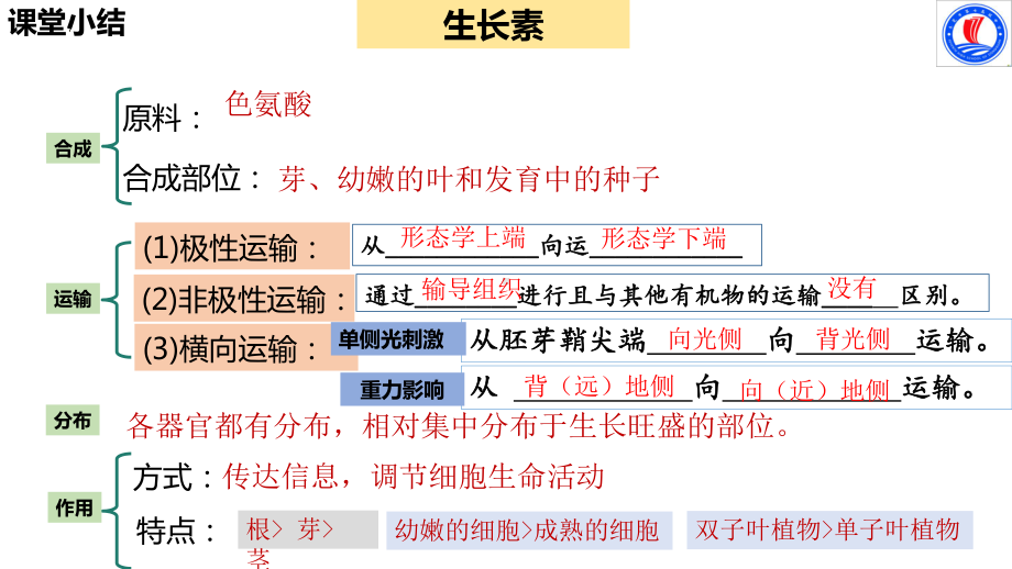 5.2其他植物激素ppt课件2(同名4)-2023新人教版(2019）《高中生物》选择性必修第一册.pptx_第3页