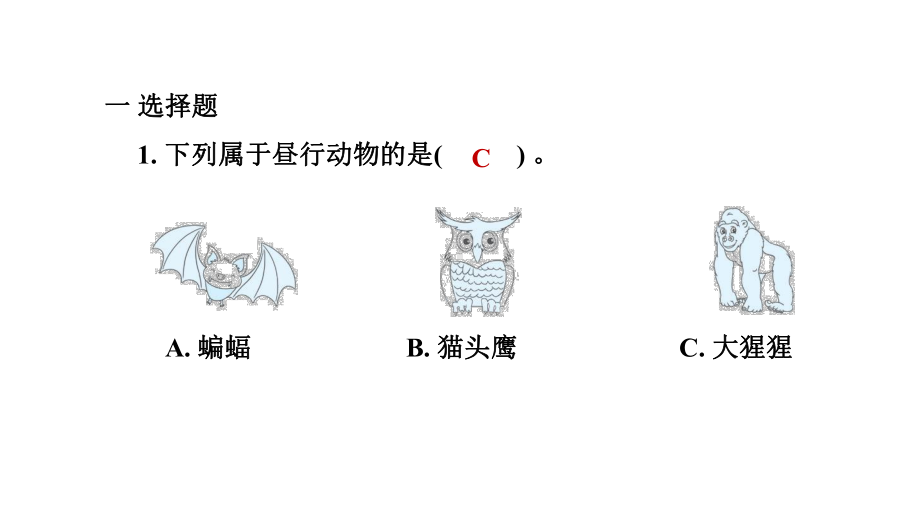 教科版科学六年级上册第二单元　 地球的运动第 7 课时 昼夜和四季变化对生物的影响.pptx_第2页