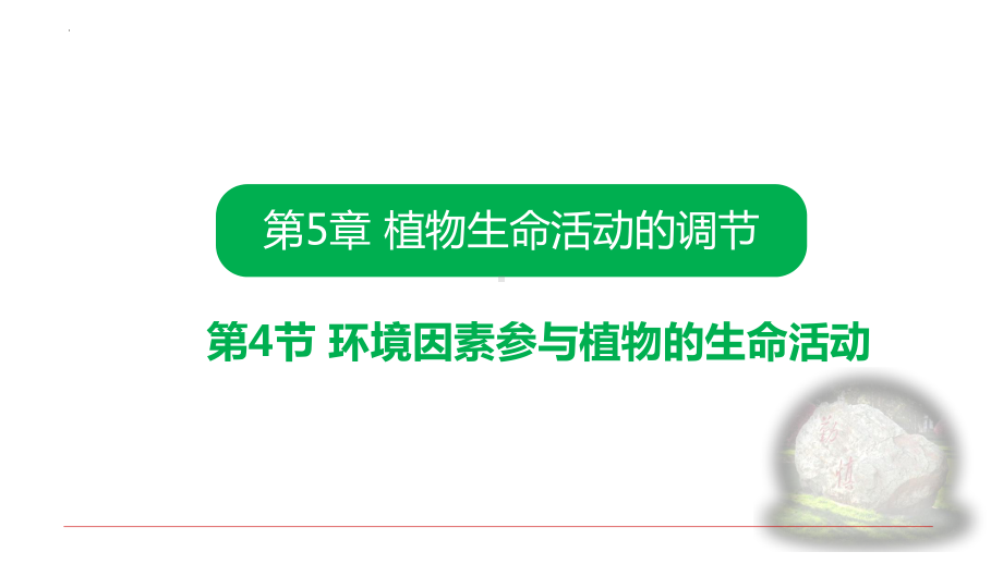 5.4环境因素参与调节植物的生命活动ppt课件(同名3)-2023新人教版(2019）《高中生物》选择性必修第一册.pptx_第1页