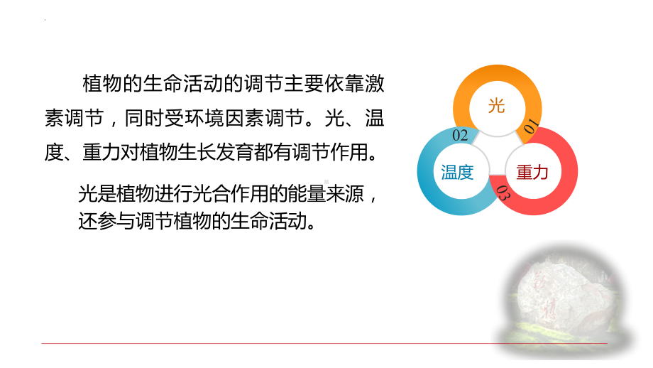 5.4环境因素参与调节植物的生命活动ppt课件(同名3)-2023新人教版(2019）《高中生物》选择性必修第一册.pptx_第3页