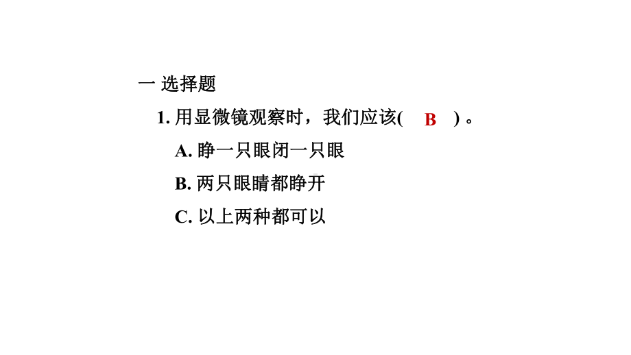 教科版科学六年级上册第一单元　 微小世界第 3 课时 观察身边微小的物体.pptx_第2页