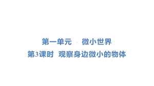 教科版科学六年级上册第一单元　 微小世界第 3 课时 观察身边微小的物体.pptx