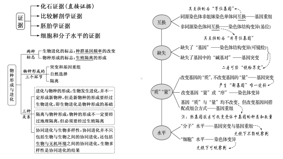 二轮复习ppt课件07变异与进化 1-2023新人教版(2019）《高中生物》必修第二册.pptx_第3页