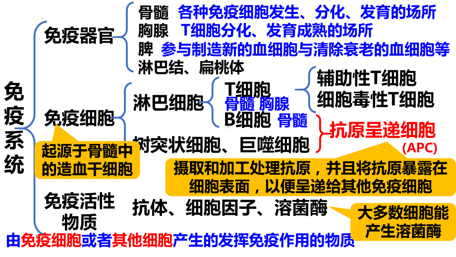 一轮复习：专题复习 免疫调节2ppt课件(同名1)-2023新人教版(2019）《高中生物》选择性必修第一册.pptx_第3页