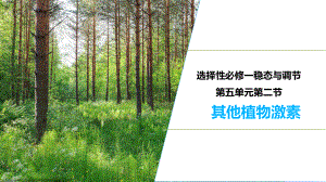 5.2其他植物激素ppt课件 -2023新人教版(2019）《高中生物》选择性必修第一册.pptx