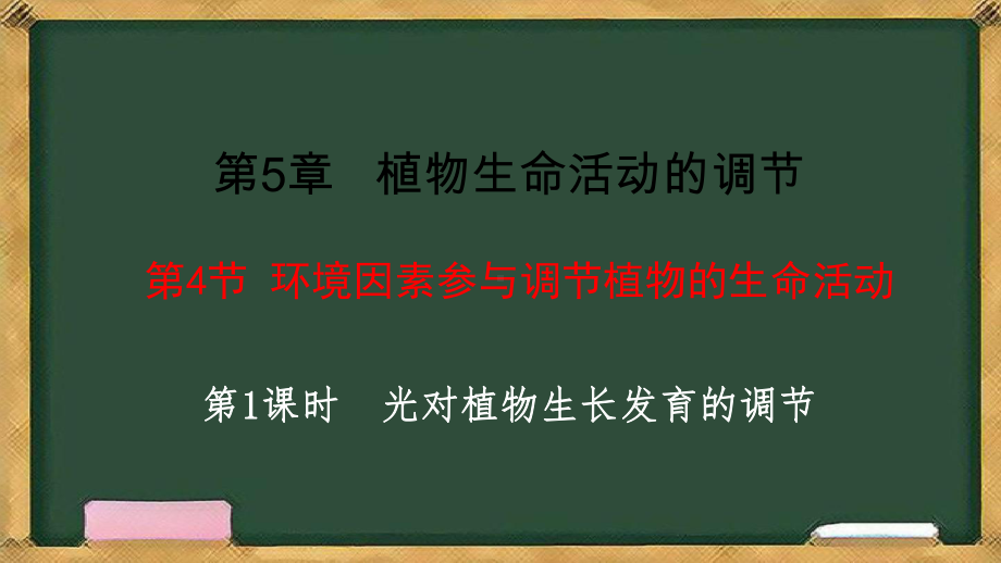 5.4环境因素参与调节植物的生命活动 第1课时 光对植物生长发育的调节ppt课件-2023新人教版(2019）《高中生物》选择性必修第一册.pptx_第2页