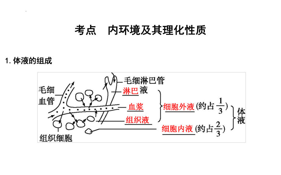 一轮复习ppt课件：人体的内环境与稳态(同名2)-2023新人教版(2019）《高中生物》选择性必修第一册.pptx_第2页