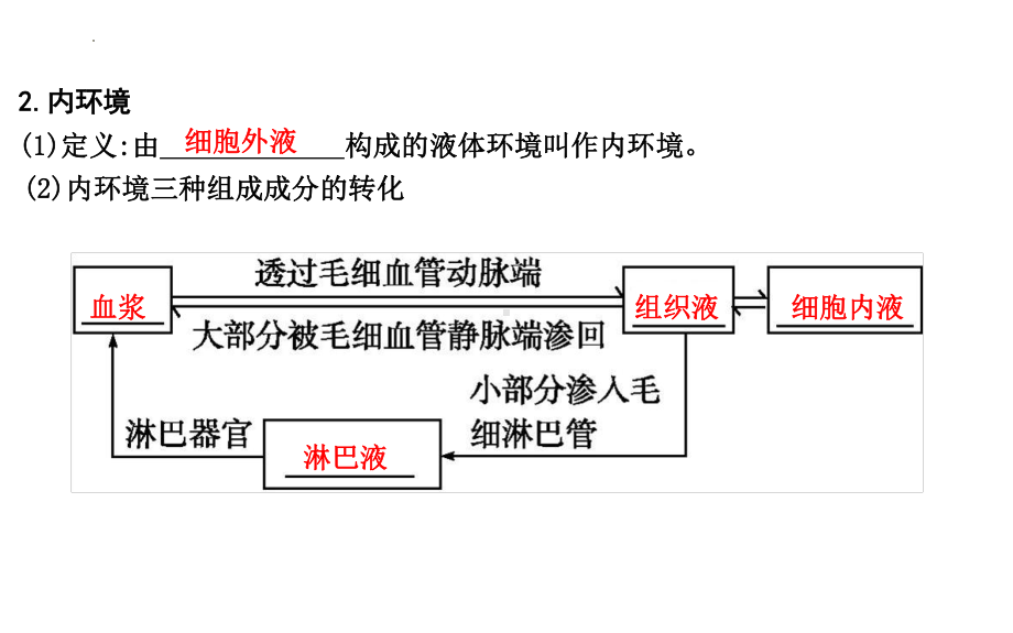 一轮复习ppt课件：人体的内环境与稳态(同名2)-2023新人教版(2019）《高中生物》选择性必修第一册.pptx_第3页