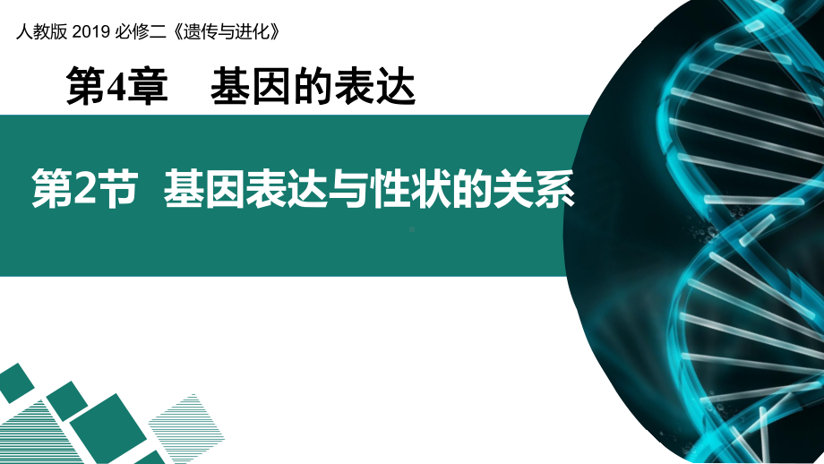 4.2基因表达与生物性状的关系(同名第1课时）ppt课件-2023新人教版(2019）《高中生物》必修第二册.pptx_第1页